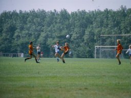 0DIA 1985 RAVA PUPS 1